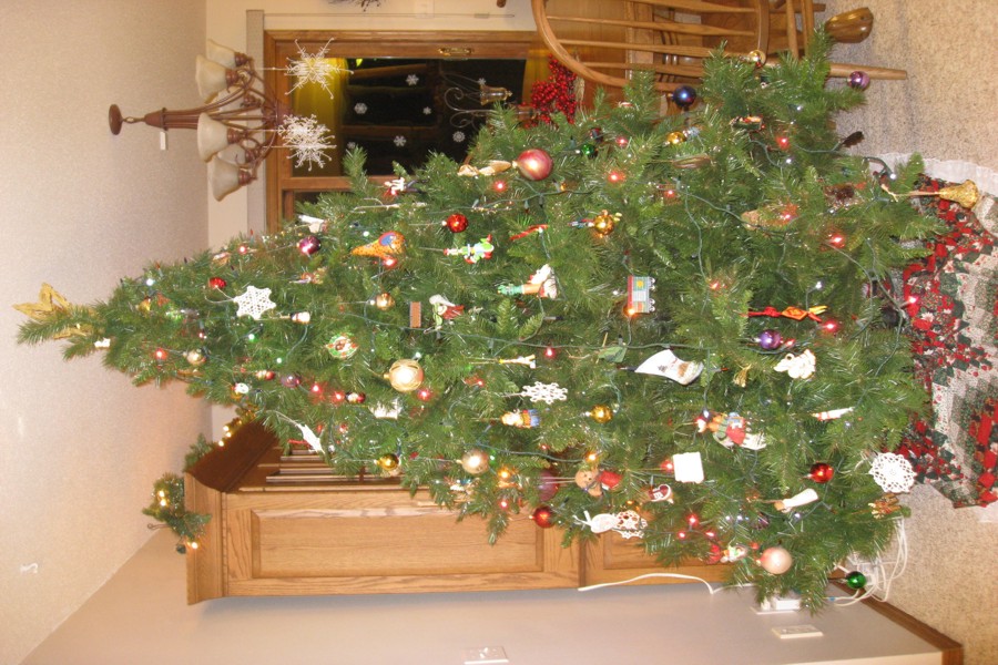 ../image/christmas tree 4.jpg